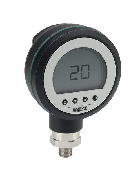 General Purpose Digital Gauge PGE20-300psig-1-2
