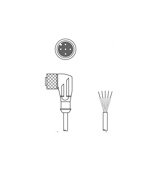Leuze KD DN M12 5W P1 150 Connection Cable